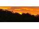 Beautiful sunset view, with vibrant orange and yellow clouds over silhouetted trees, creating a serene backdrop at 12639 Lemon Pepper Dr, Riverview, FL 33578