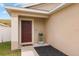 Inviting front entrance with a decorative planter and stylish welcome mat at 14426 Haddon Mist Dr, Wimauma, FL 33598