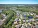 Panoramic aerial showcasing the neighborhood's layout and green surroundings at 14809 Tudor Chase Dr, Tampa, FL 33626