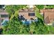 Aerial view of the home, showing the solar panels and screened-in pool, surrounded by mature trees at 17108 Longacres Ln, Odessa, FL 33556