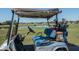 Golf cart parked on a golf course near a pond with golfers at 2112 Acadia Greens Dr # 62, Sun City Center, FL 33573