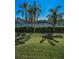 View of the tennis court surrounded by green grass and mature palm trees at 3021 Countryside Blvd # 24A, Clearwater, FL 33761