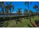Scenic view of the tennis court with lush landscaping and shade providing palm trees at 3021 Countryside Blvd # 24A, Clearwater, FL 33761
