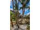Condo community featuring a tranquil water feature surrounded by palm trees and lush landscaping at 3021 Countryside Blvd # 24A, Clearwater, FL 33761