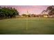 Beautiful golf course view with manicured green grass and mature trees against a colorful dusk sky at 3323 Ringwood Mdw, Sarasota, FL 34235