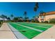 Community shuffleboard court surrounded by lush landscaping and palm trees at 5220 Brittany S Dr # 210, St Petersburg, FL 33715