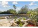 Backyard featuring garden planters surrounded by tropical foliage at 6235 Viola Ln, New Port Richey, FL 34653