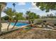 Inviting backyard featuring a sparkling pool, lush palm trees, and a charming outdoor dining area at 6235 Viola Ln, New Port Richey, FL 34653