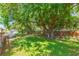 Grassy backyard featuring several shady trees, plants, and foliage at 6426 31St S St, St Petersburg, FL 33712