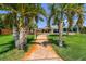 Beautiful backyard with lush green lawn, mature palm trees, and a walkway leading to the house at 6667 28Th S St, St Petersburg, FL 33712