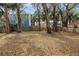 Backyard with hammock, mature trees, and privacy fencing, creating a peaceful outdoor retreat at 7819 Chasco St, Port Richey, FL 34668