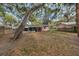 Spacious backyard with mature trees, hammock and house, providing a serene outdoor setting at 7819 Chasco St, Port Richey, FL 34668