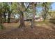 Lush backyard with mature trees and a private setting, perfect for outdoor enjoyment and relaxation at 7819 Chasco St, Port Richey, FL 34668