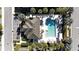 Aerial view of the community pool, featuring ample lounge chairs and tropical landscaping at 1110 Rose Blossom Ct, Tampa, FL 33613