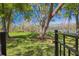 Scenic backyard view with lush green grass, mature trees, and access to a serene lake at 16121 Carencia Ln, Odessa, FL 33556