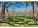Picturesque lakeside view with mature trees, lush grass, and serene waterfront at 16121 Carencia Ln, Odessa, FL 33556
