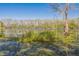 Scenic lake view with lush grass, tall trees, and serene waterfront at 16121 Carencia Ln, Odessa, FL 33556