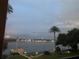 Serene water view with a palm tree, a flag, dock, and buildings on the opposite bank at 1847 Shore Drive South # 308, South Pasadena, FL 33707