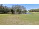 Picturesque golf course with a tranquil pond surrounded by lush greenery and trees, offering a peaceful view at 3252 Scorecard Dr, New Port Richey, FL 34655