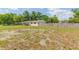Backyard featuring lush grass, a wooden fence, and mature trees at 3502 Bloomingdale Ave, Valrico, FL 33596