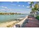 Scenic waterfront view with a sandy beach, palm trees, and a paved walkway by the condo at 525 Mandalay Ave # 33, Clearwater Beach, FL 33767