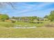 Idyllic view of a serene pond covered in lily pads and lush greenery surrounding the property at 5317 Black Pine Dr, Tampa, FL 33624