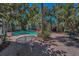 Inviting backyard pool surrounded by lush landscaping and a brick patio at 810 Lantana Ave, Clearwater Beach, FL 33767