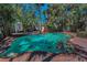 Stunning pool area nestled in a tropical backyard, offering a private oasis at 810 Lantana Ave, Clearwater Beach, FL 33767