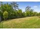 Expansive backyard with lush green lawn and wrought iron fence, perfect for outdoor activities at 8725 Sorano Villa Dr, Tampa, FL 33647