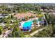 Aerial view of the community pool, showcasing the large pool, jacuzzi and surrounding landscaping at 8725 Sorano Villa Dr, Tampa, FL 33647