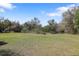 Expansive lot featuring an open space surrounded by a mature tree line at 9825 Casey Dr, New Port Richey, FL 34654
