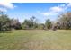 Expansive yard with a mature tree line and open space on a sunny day at 9825 Casey Dr, New Port Richey, FL 34654