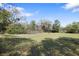 Expansive yard with a mature tree line and open space on a sunny day at 9825 Casey Dr, New Port Richey, FL 34654