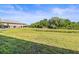 Large backyard with lush green lawn and scenic nature views at 10418 Tulip Field Way, Riverview, FL 33578