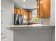 Kitchen with breakfast bar, stainless steel appliances, and wood cabinets at 10418 Tulip Field Way, Riverview, FL 33578