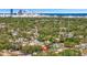 Expansive aerial view of the neighborhood near the city, showcasing a tranquil setting with verdant trees at 1726 25Th S Ave, St Petersburg, FL 33712