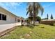 Lush backyard with mature landscaping including large palm trees and an open patio at 2127 Scotland Dr, Clearwater, FL 33763