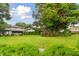 Lush backyard with mature trees and green grass at 2934 Lichen Ln # A, Clearwater, FL 33760