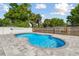 Inviting backyard pool with a spacious patio, surrounded by lush landscaping and fencing at 706 Caliente Dr, Brandon, FL 33511