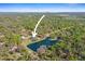 Wide aerial showcasing the property's lakefront location and surrounding woodland at 8403 Southwood Pines St, Lithia, FL 33547