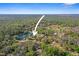 Aerial view of the property featuring lush greenery, and a serene pond nestled within a natural landscape at 8403 Southwood Pines St, Lithia, FL 33547