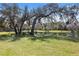 Scenic backyard with a tranquil pond, featuring mature trees, chairs, and swing set for relaxation at 8403 Southwood Pines St, Lithia, FL 33547