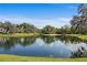 Scenic pond reflecting the surrounding trees and sky, creating a serene and picturesque view at 8403 Southwood Pines St, Lithia, FL 33547