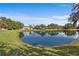 Picturesque view of a large pond, adding tranquility to the property at 8403 Southwood Pines St, Lithia, FL 33547