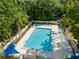 Beautiful community pool surrounded by lush greenery and lounge chairs at 10 James Ct, Oldsmar, FL 34677