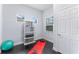 Well-lit home gym with essential equipment and ample space for workouts at 10007 Hazelnut Ct, Tampa, FL 33647