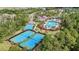 A beautiful community including aerial views of the tennis courts, pool, and clubhouse at 10007 Hazelnut Ct, Tampa, FL 33647