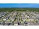 Birds eye view of neighborhood with lush green trees and landscaped yards under a clear blue sky at 10222 Cool Waterlily Ave, Riverview, FL 33578
