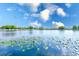 Beautiful lake view showcasing lily pads floating on the water under a bright blue sky filled with fluffy clouds at 12501 Ulmerton Rd # 14, Largo, FL 33774