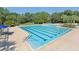 Community pool with lounge seating, shade umbrellas, and surrounding trees perfect for an afternoon of relaxation at 15723 Starling Water Dr, Lithia, FL 33547